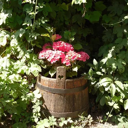 Winzeranwesen - Weingut Christian Eberley - Haupthaus I Mindestaufenthalt 4 Naechte - Minimum 4 Nights בית נופש