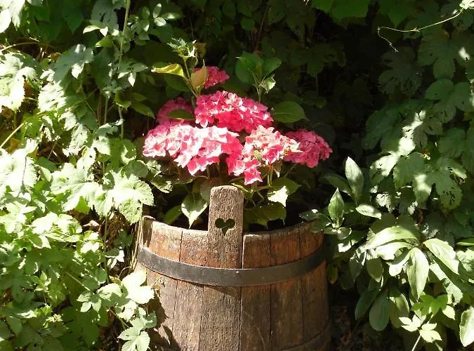 Winzeranwesen - Weingut Christian Eberley - Haupthaus I Mindestaufenthalt 4 Naechte - Minimum 4 Nights Сasa de vacaciones